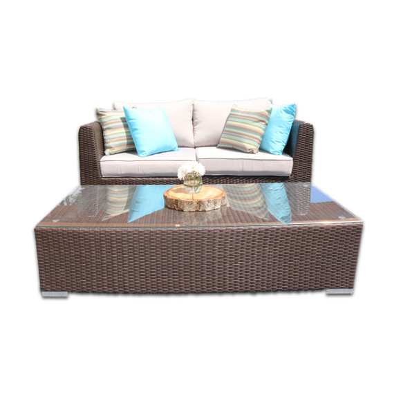 June Bug ~ Solid Core ~ Love Seat and Coffee Table