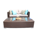 June Bug ~ Solid Core ~ Love Seat and Coffee Table