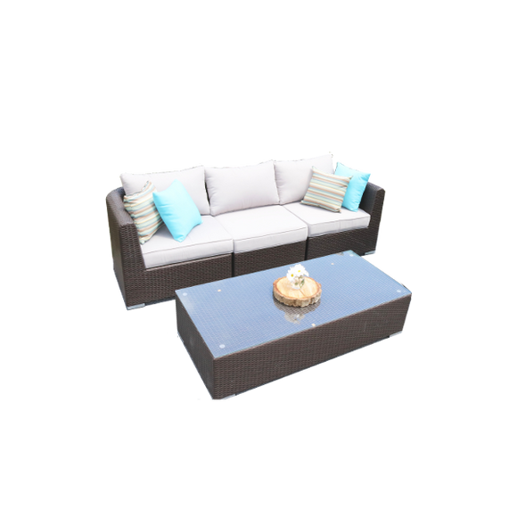 JuneBug ~ Solid Core ~ Sofa and Coffee Table